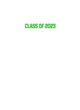 Allderdice Nike Legend Tee