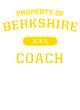 Berkshire Nike Legend Tee