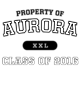 Aurora Champion Heritage Jersey Tee