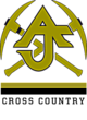 Apache Junction Embroidered Holloway Raider Pullover