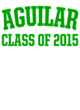 Aguilar Embroidered Holloway Raider Pullover