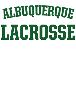 Albuquerque The North Face Tech 1 4 Zip Fleece Asphalt Grey