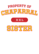 Chaparral Women's Re-Tee V-Neck